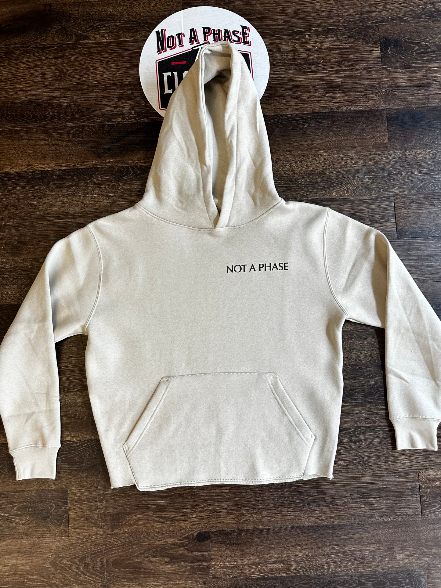 NOT A PHASE STATEMENT HOODY